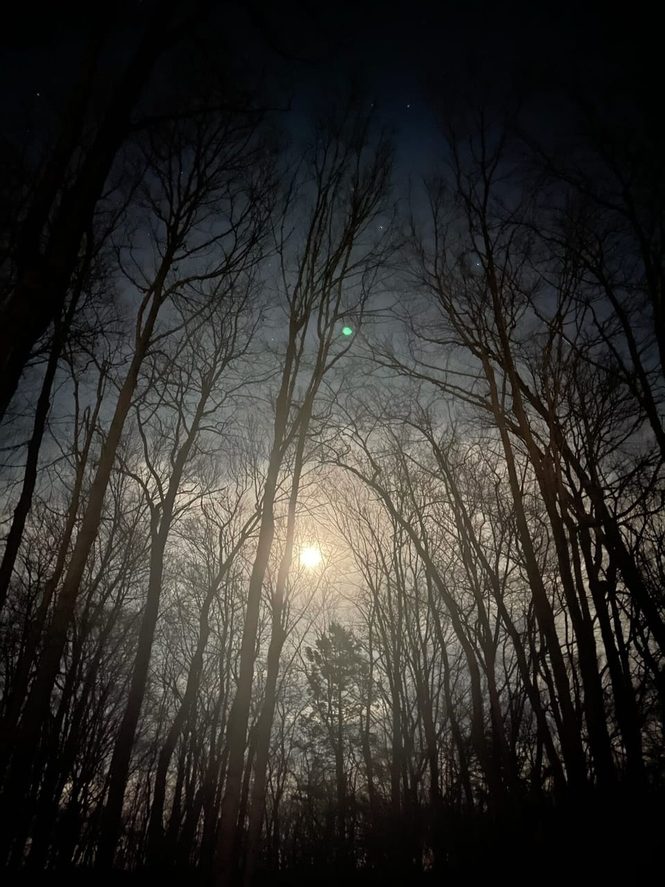 Night sky at Serenity Woods 