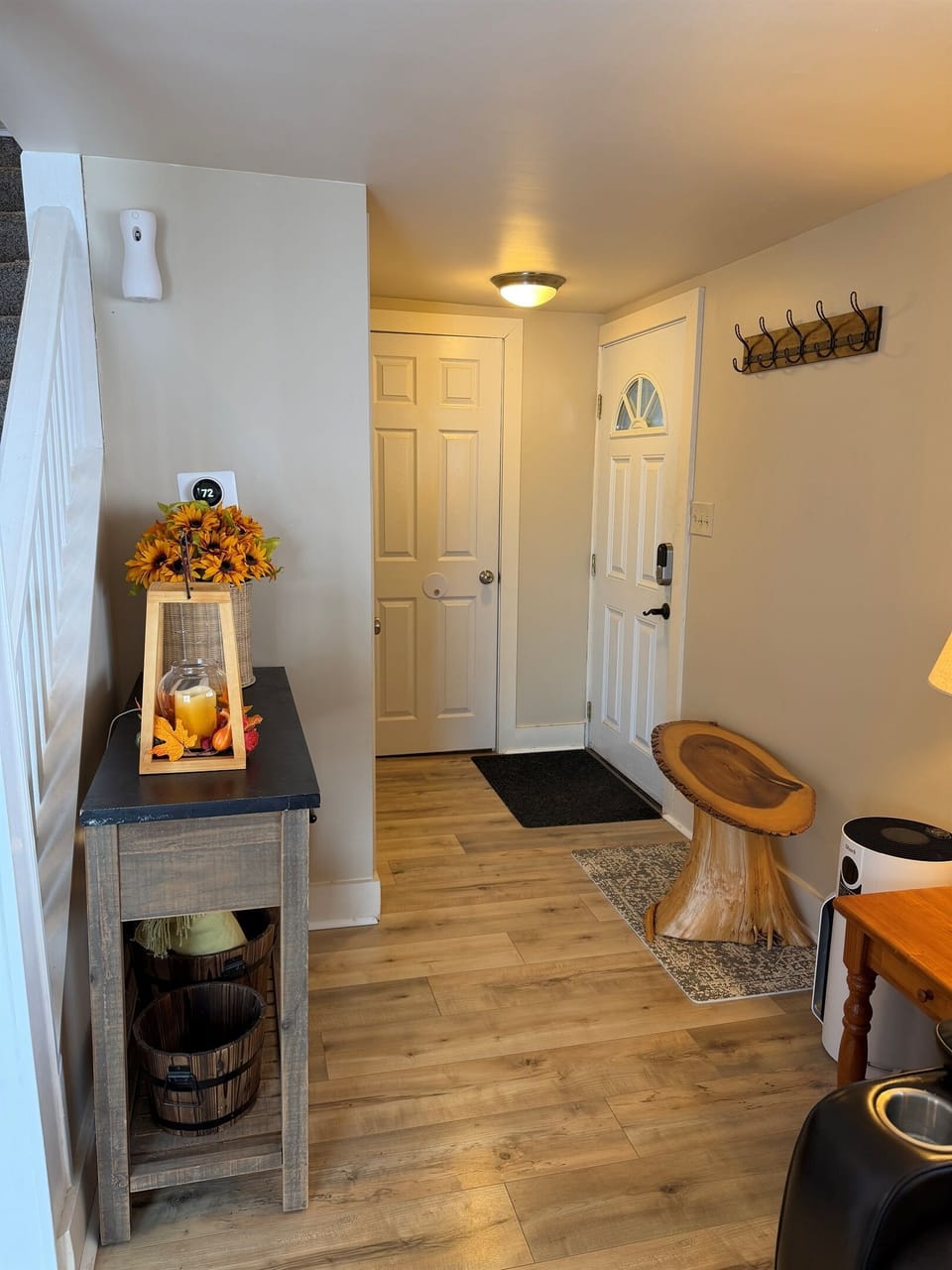 Entry way in living room