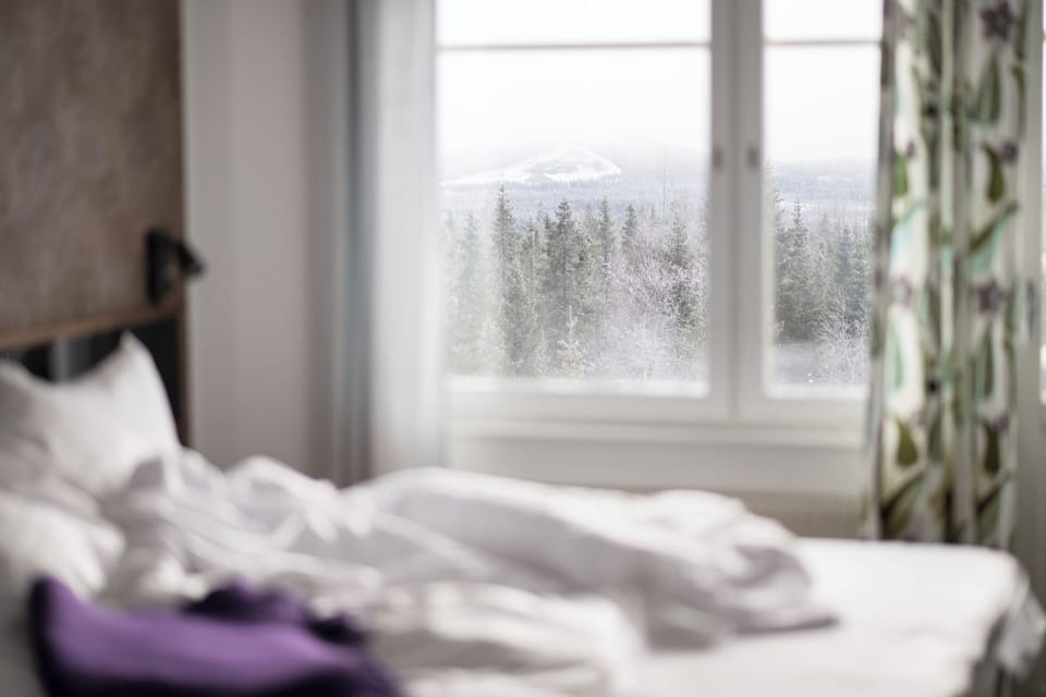 Business Double or Twin Room | In-room safe, desk, iron/ironing board (on request), WiFi (free)
