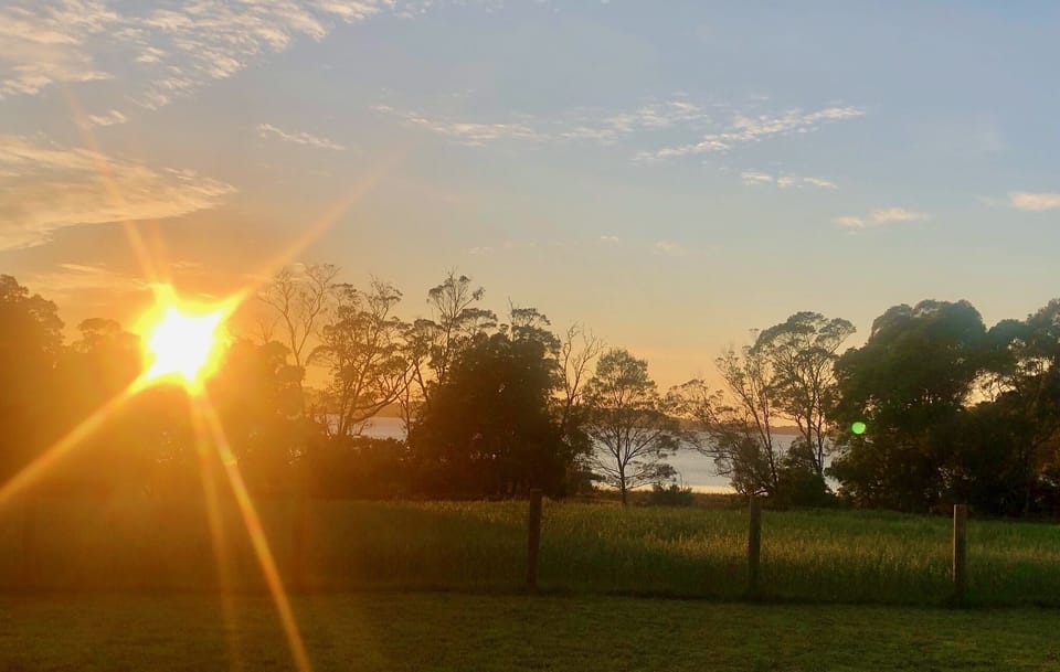 Sun-up view from Cottage verandah