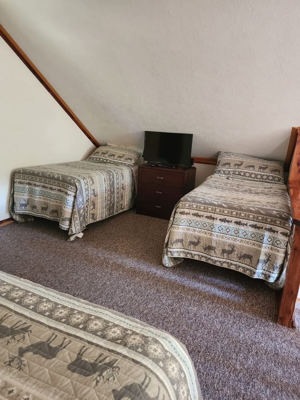 Two Twins in Loft Area