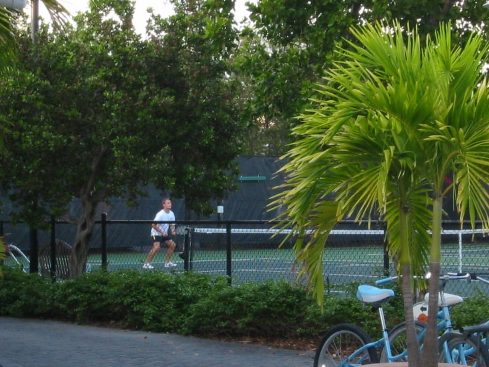 Lighted tennis courts
