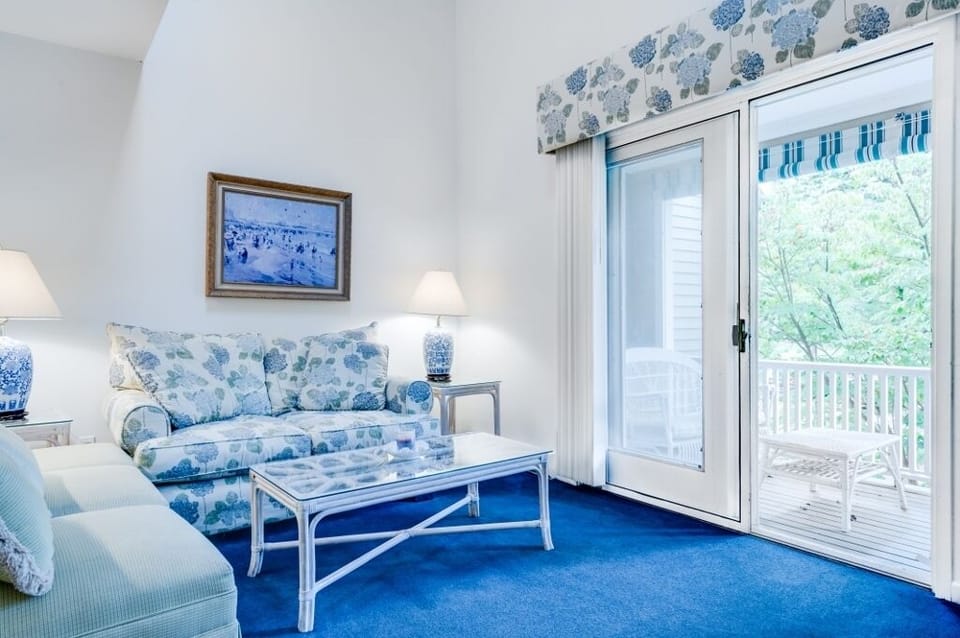 Living Room w/View