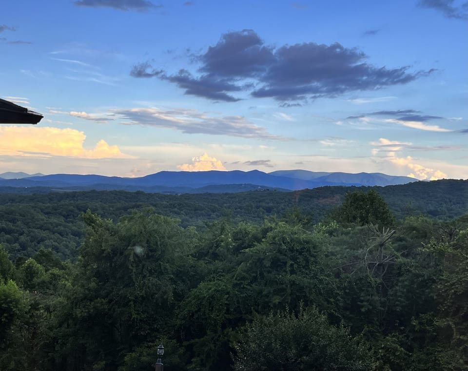 View from the living room window