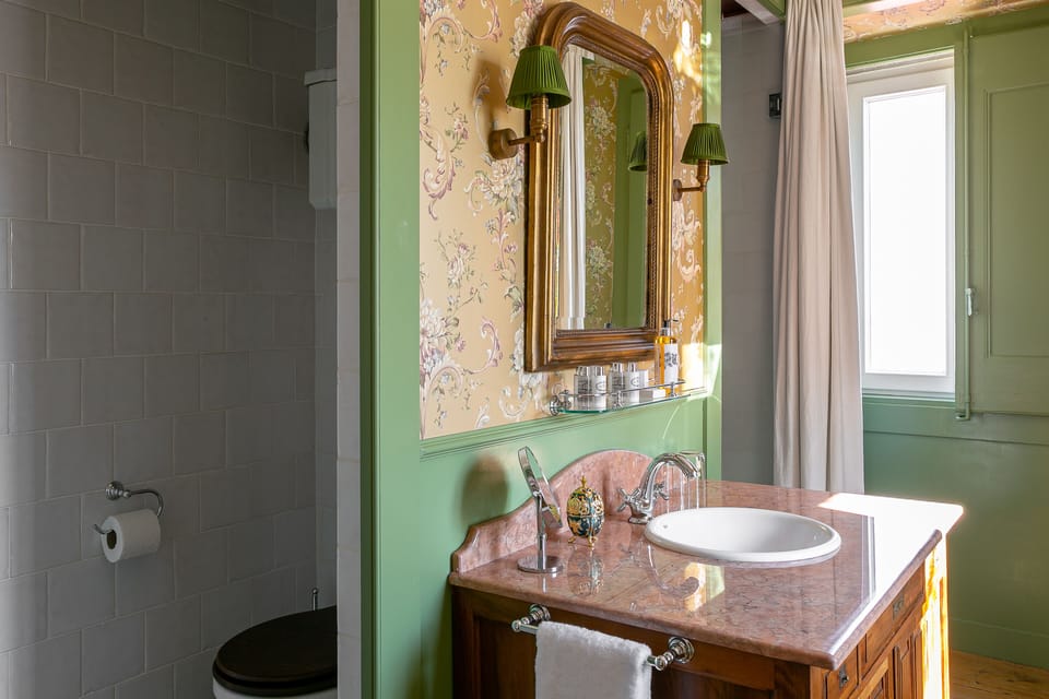 Deluxe Room | Bathroom | Shower, free toiletries, hair dryer, towels
