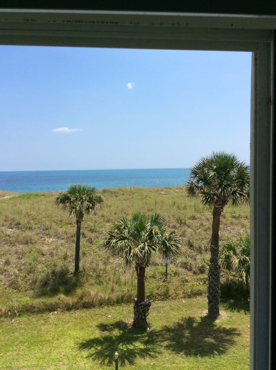 View from guest bedroom