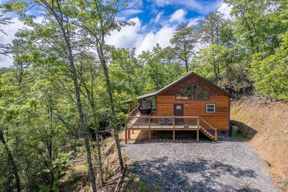 House - Exterior of Cabin