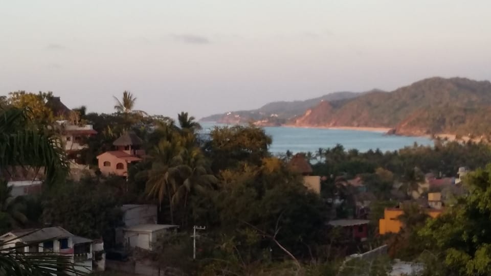 View from Pool