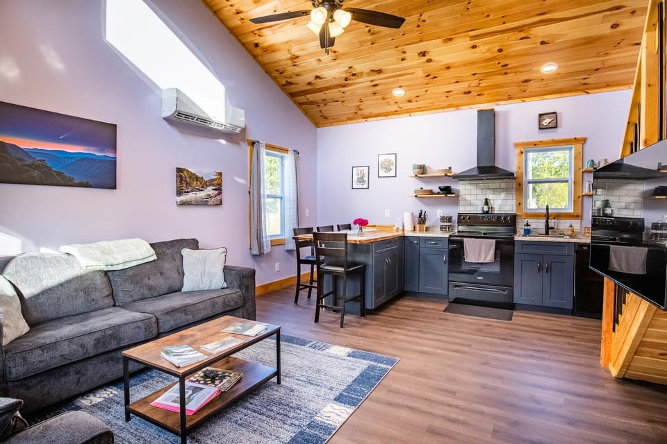 Living room and kitchen
