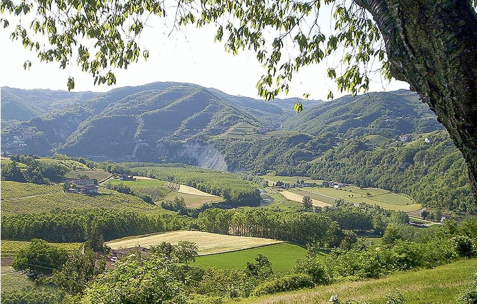 view-from-room