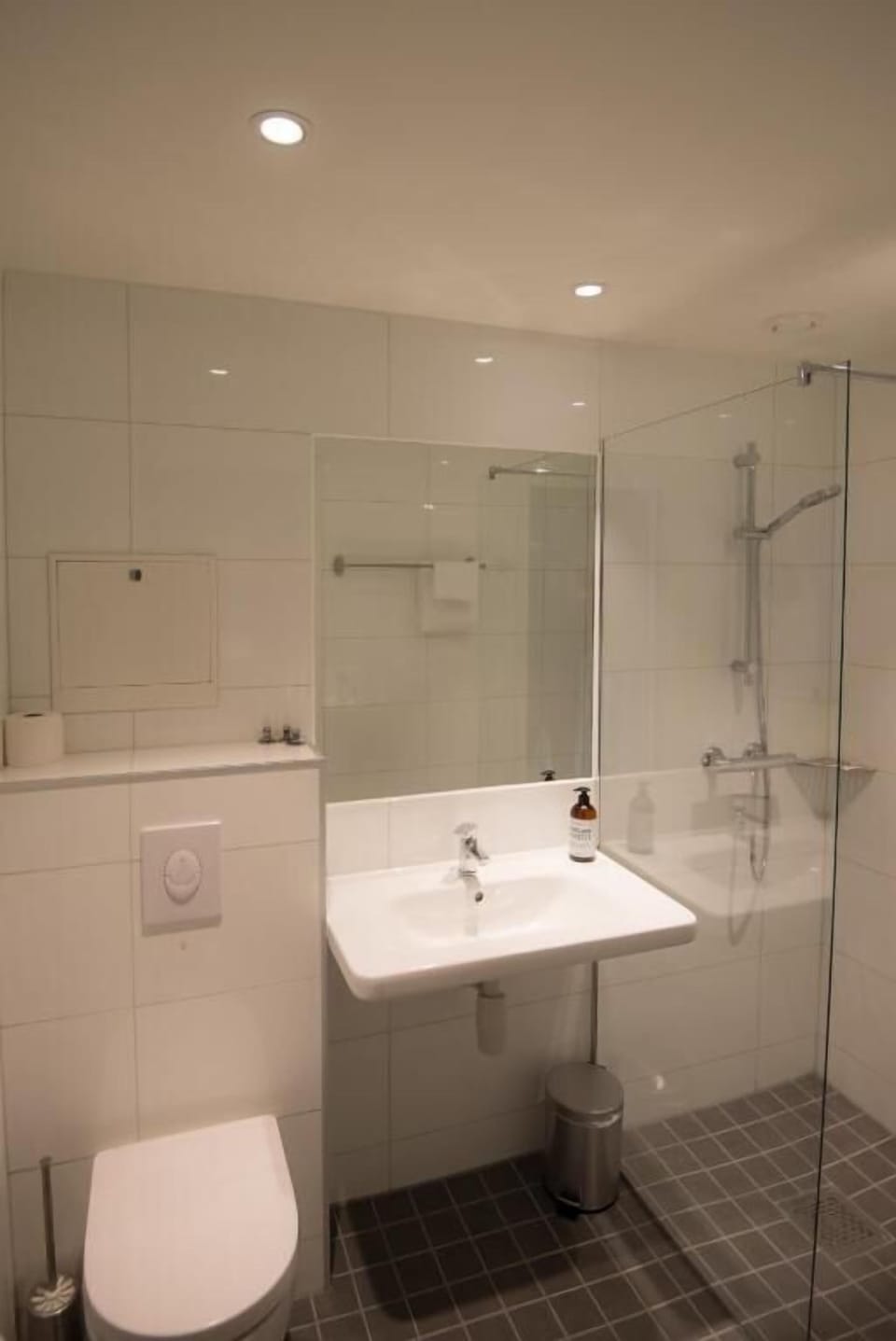 Shower, hair dryer, heated floors, towels