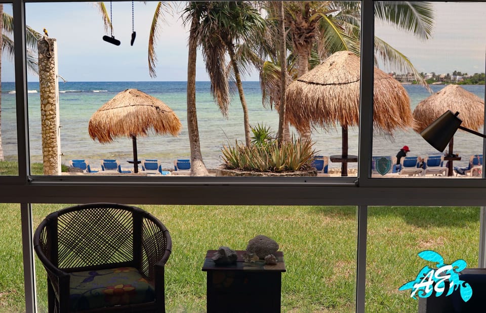 The Amazing View From Your Living Area