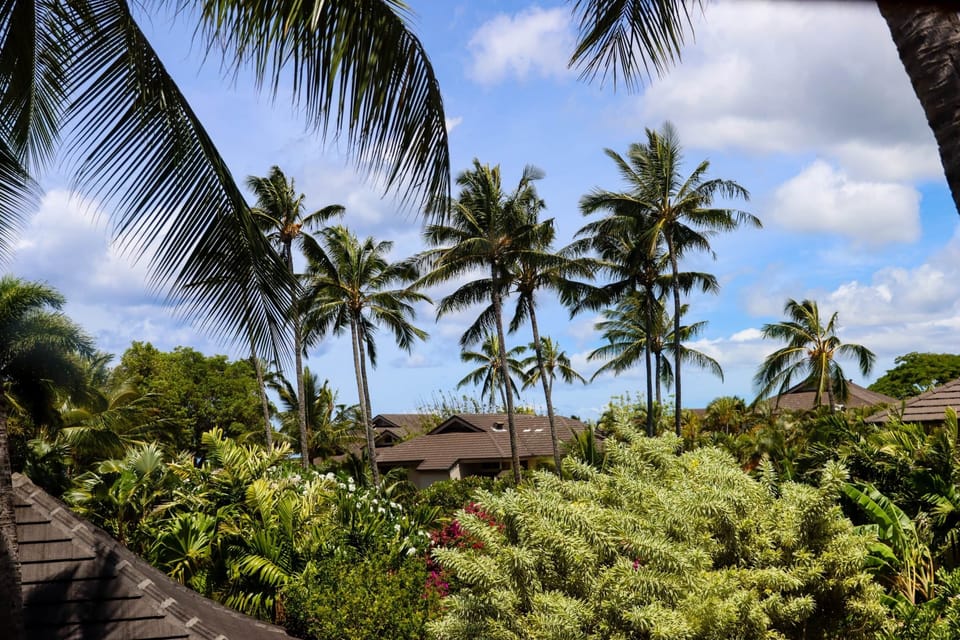 Garden views from unit