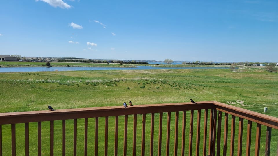 View from deck facing south