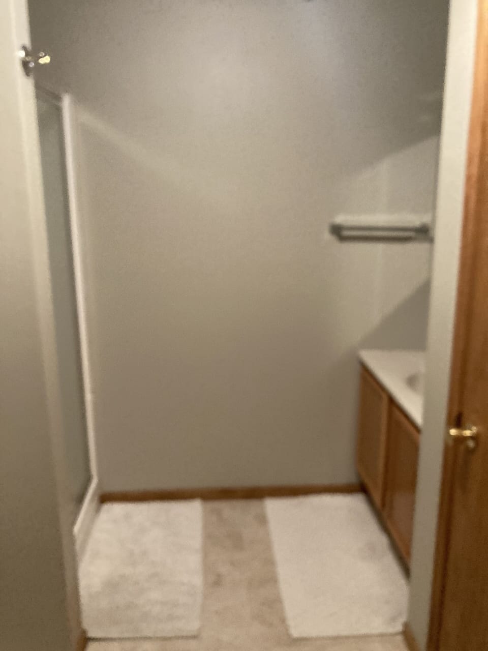 Lower level bathroom