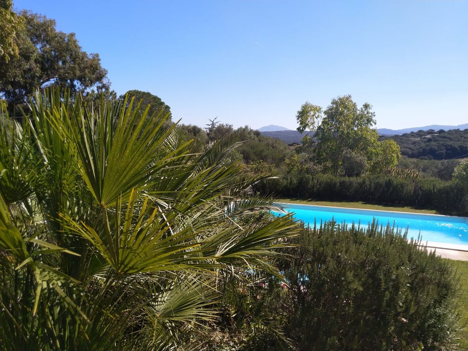 Gardens and View 