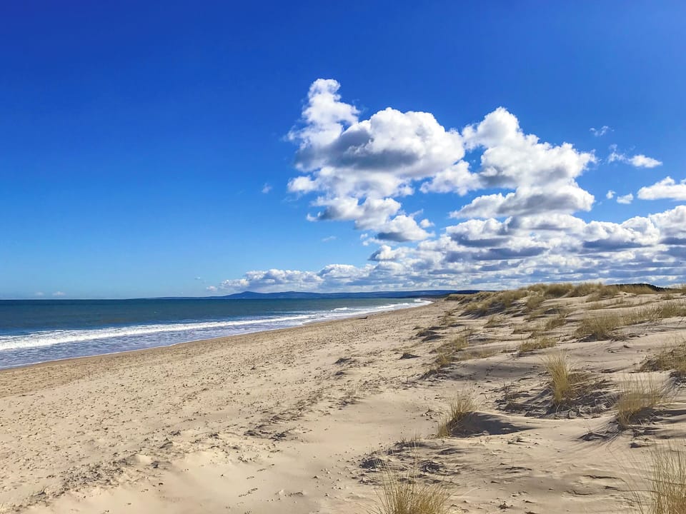 Lossiemouth Beach | March Brown, Garmouth, near Elgin