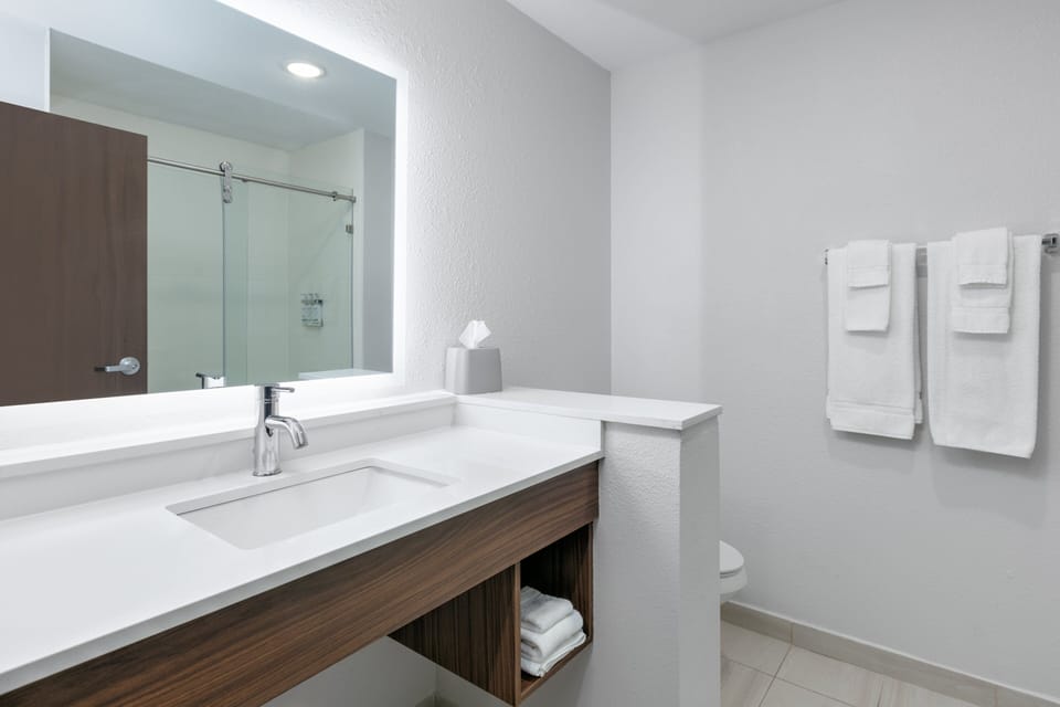 Suite, 1 King Bed | Room amenity