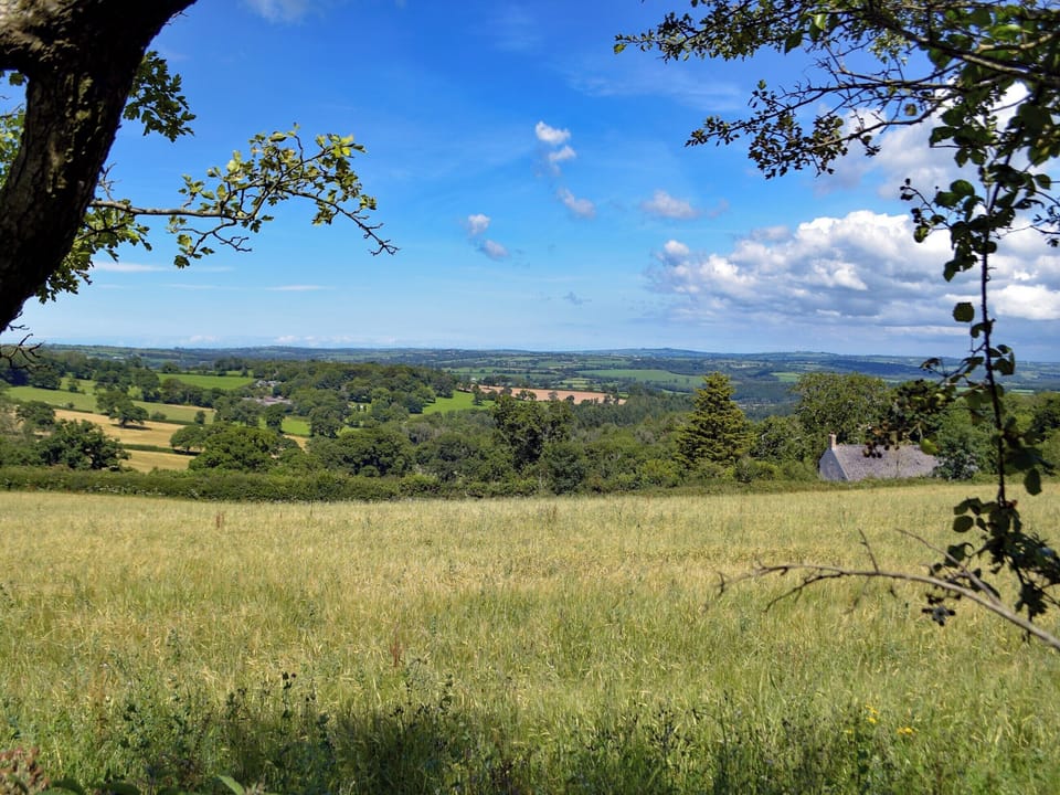 Surrounding area | Gamekeepers Cottage, Newchapel, near Cardigan
