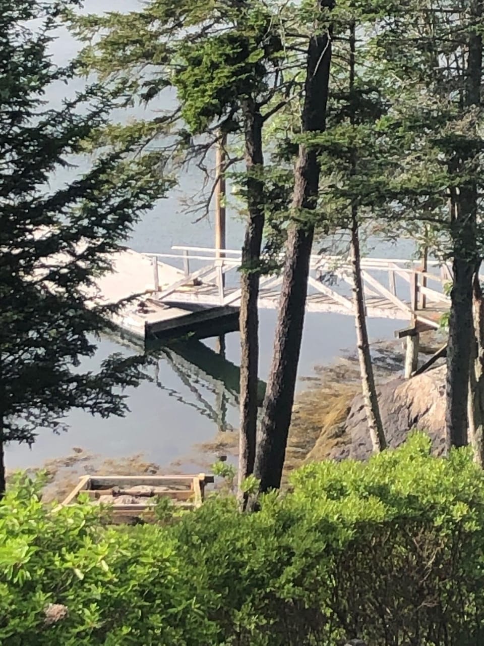 Dock and float