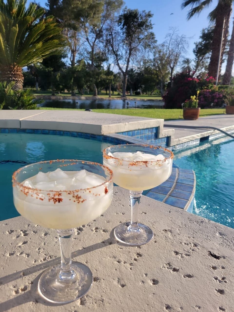 Cocktails anyone?