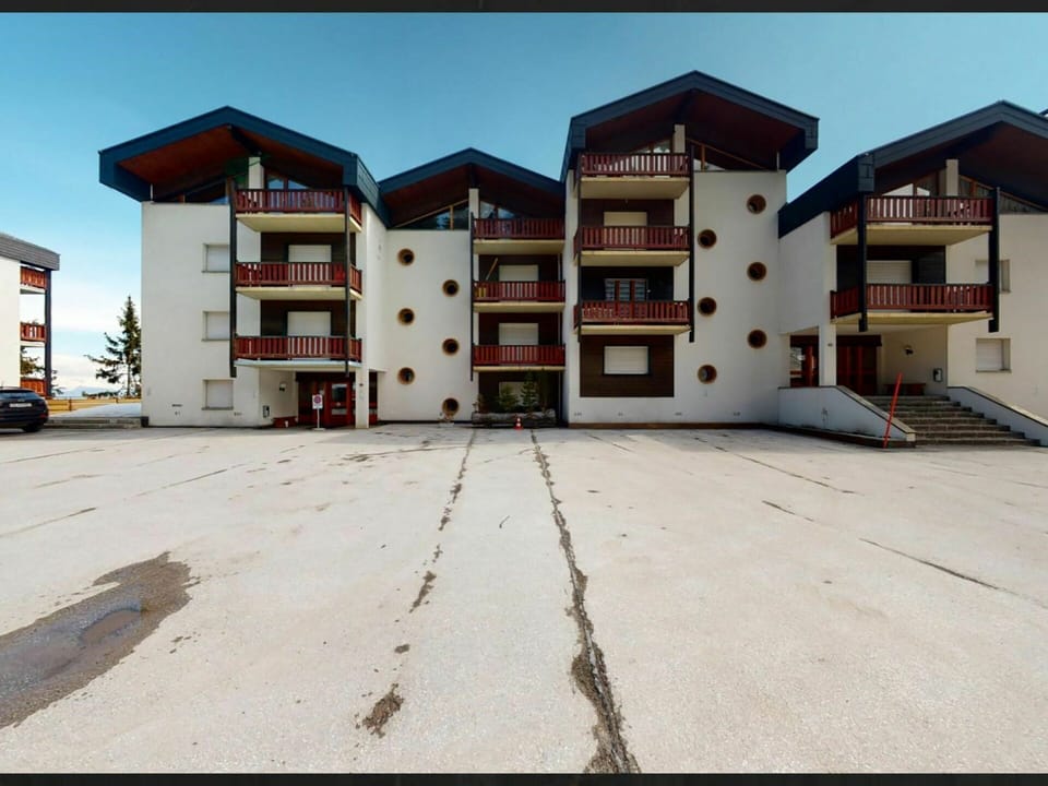Building, Sky, Window, Asphalt, Land Lot, Plant, Architecture, Tree, House