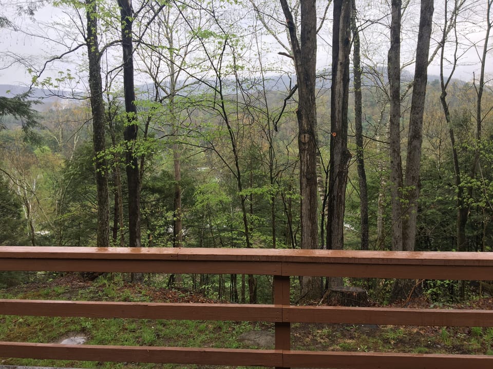 View from property