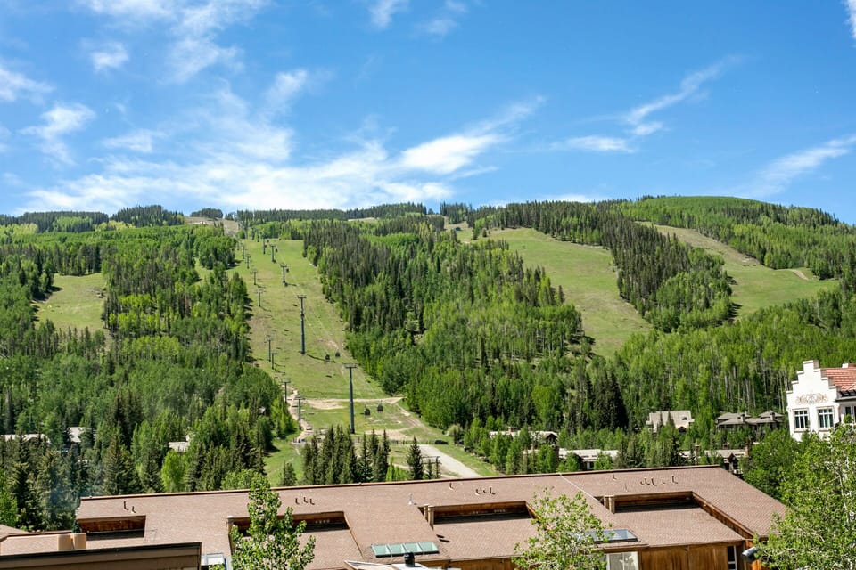 Warm weather landscapes