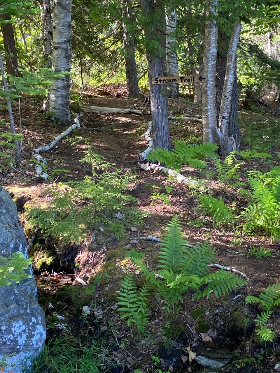 Stream trail to the waterfall