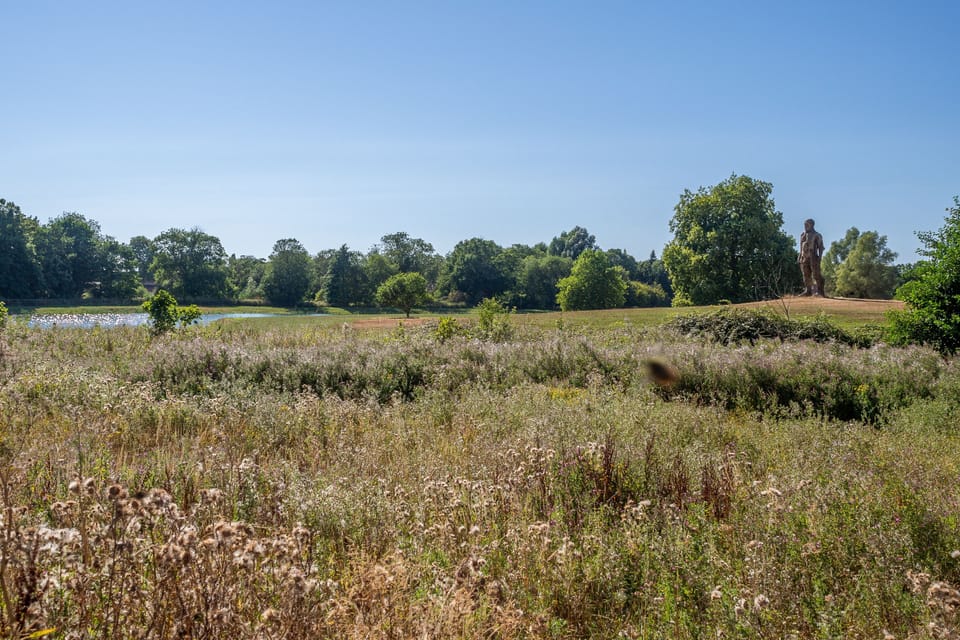 Surrounding fields in Westleton