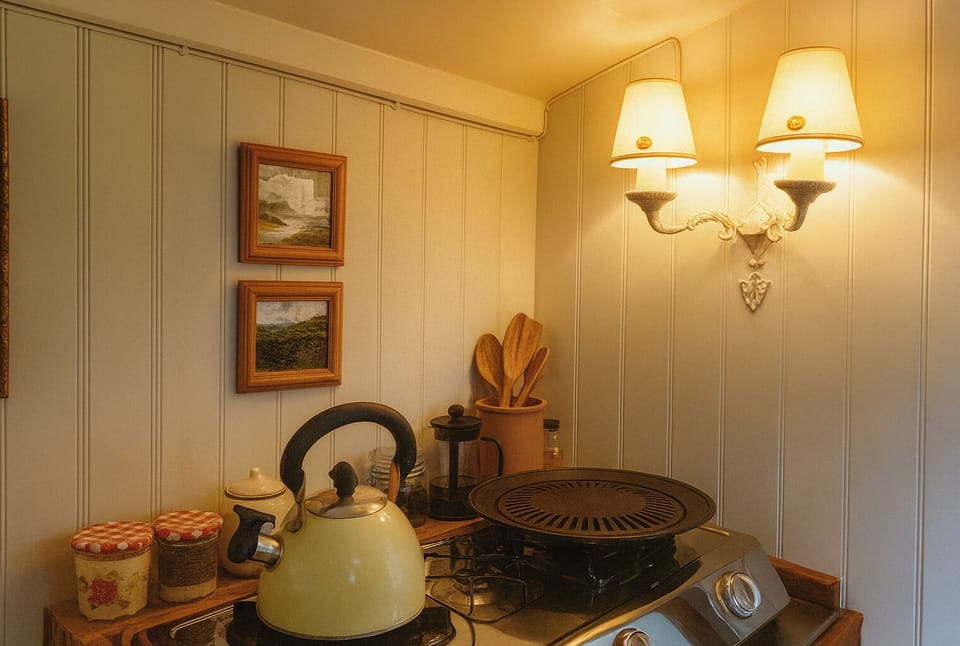 Fridge, stovetop, electric kettle