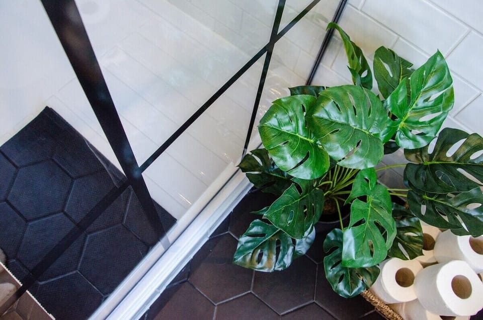 Nature's touch: our charming plant accent.