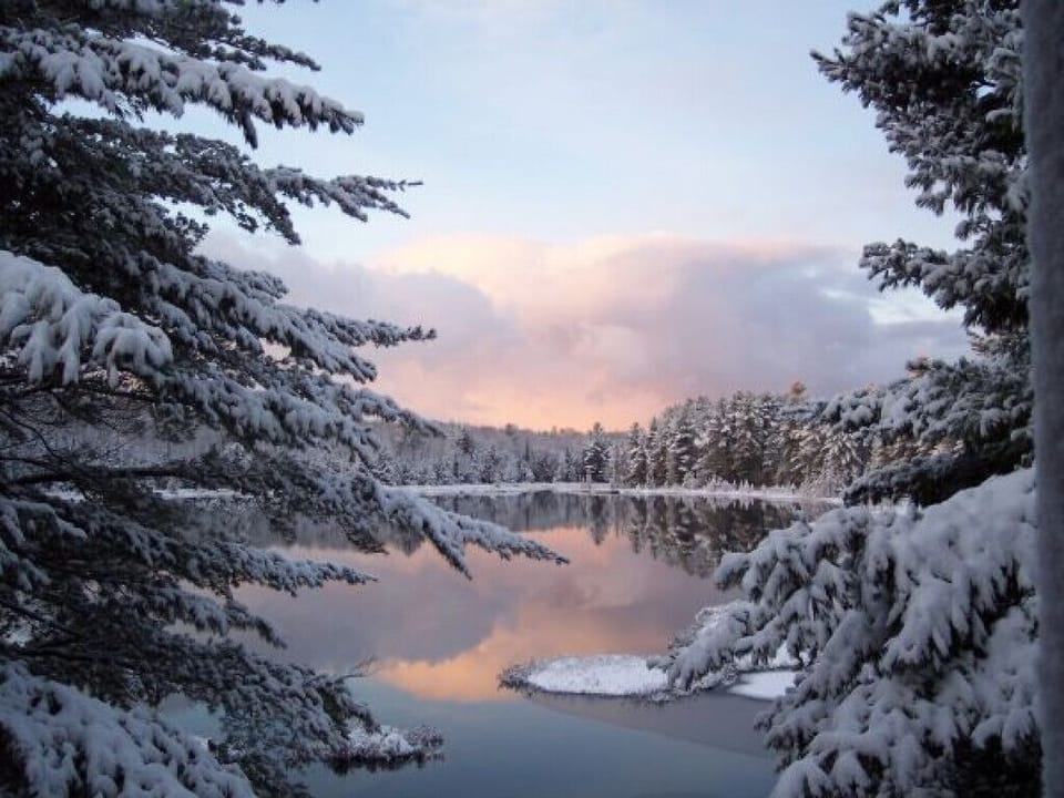 4 season cottage