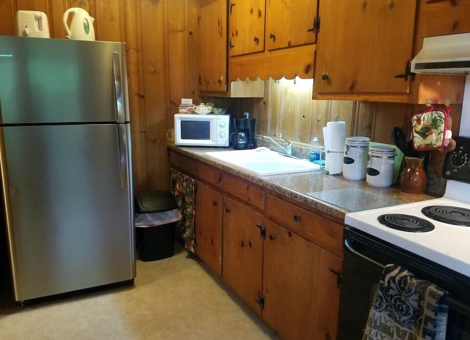 Kitchen with plenty of necessities provided
