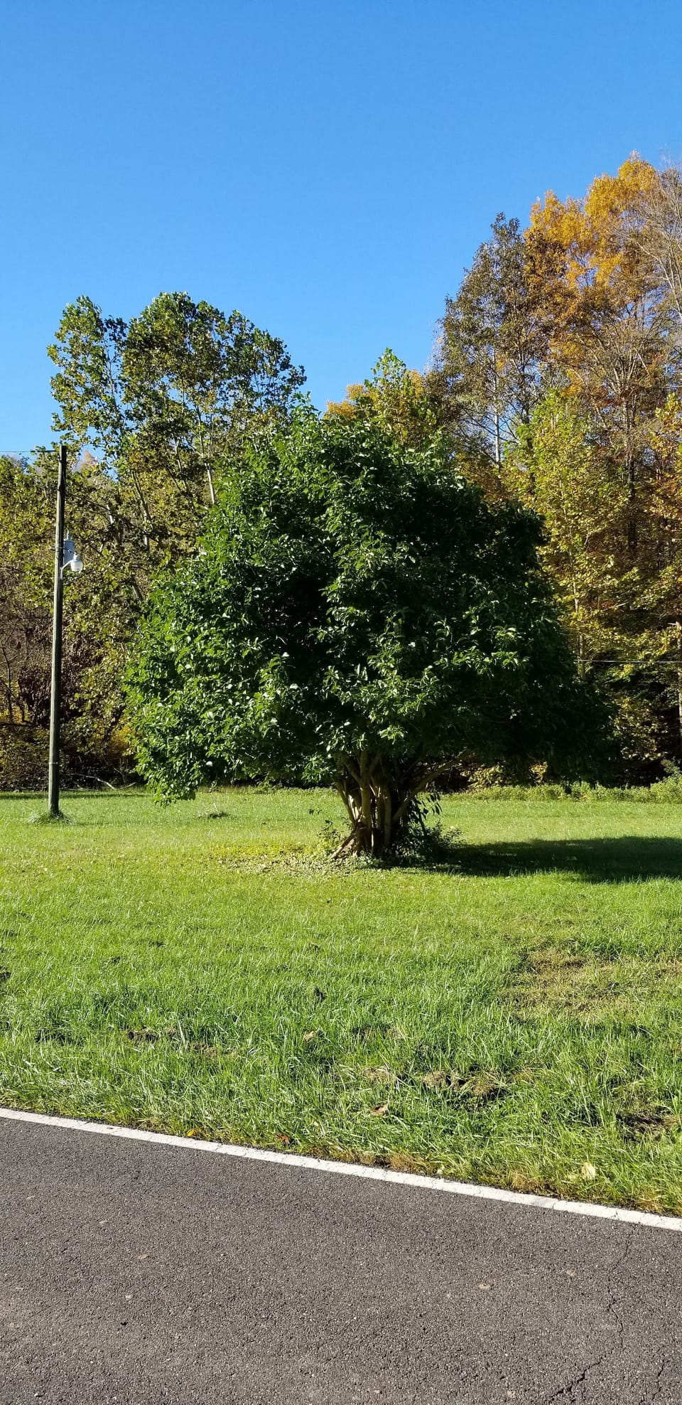 Property land 
