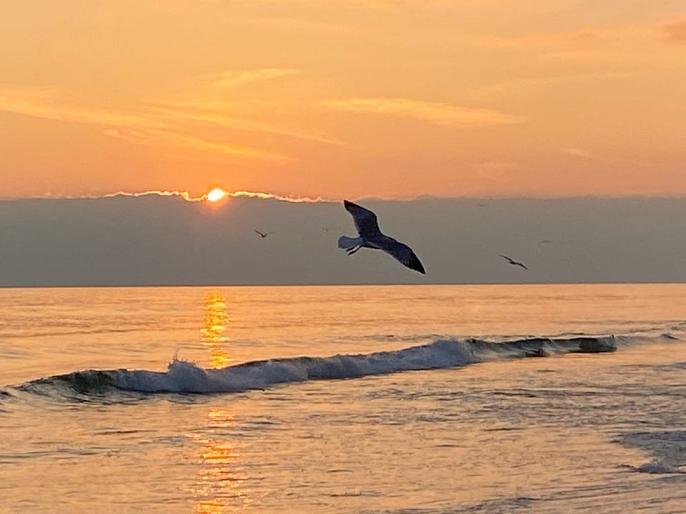 Evening at the beach