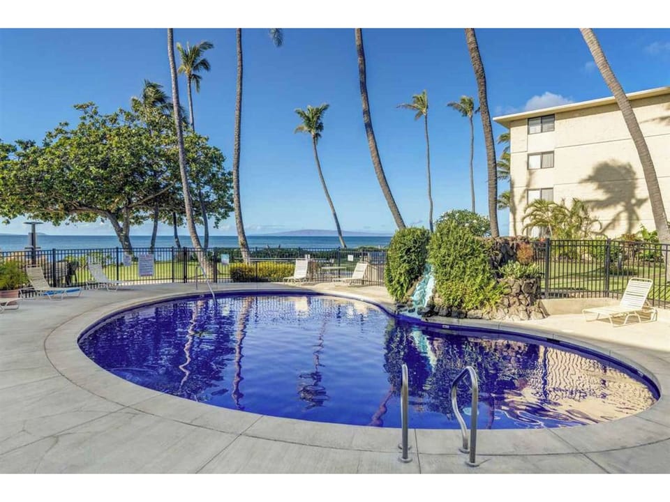 Oceanfront heated pool surrounded by swaying palms and sea views.