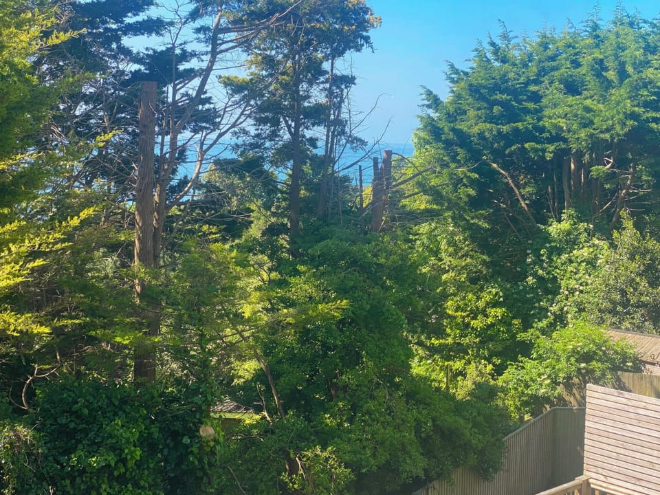 View | Inglewood Retreat, Ventnor