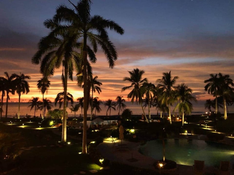 Palms View from Villa at Night
