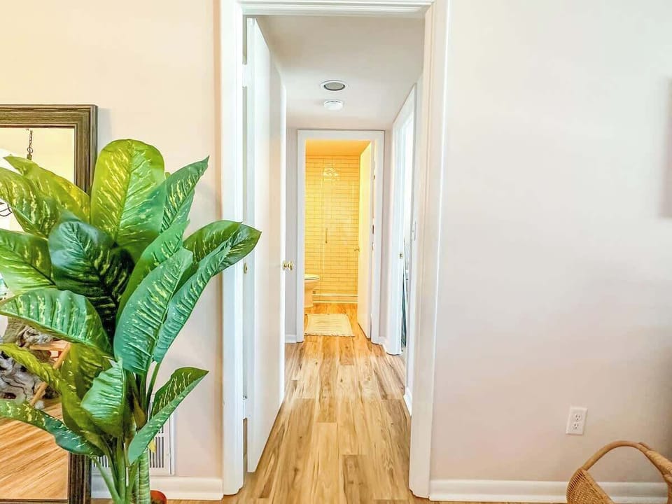 Hall Towards Bedroom and Guest Bathroom