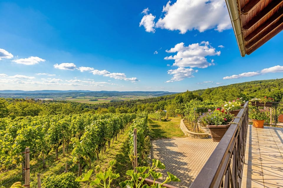Standard House, Multiple Bedrooms, 2 Bathrooms, Mountainside (Vineyard Homestead Vrtin) | Terrace/patio