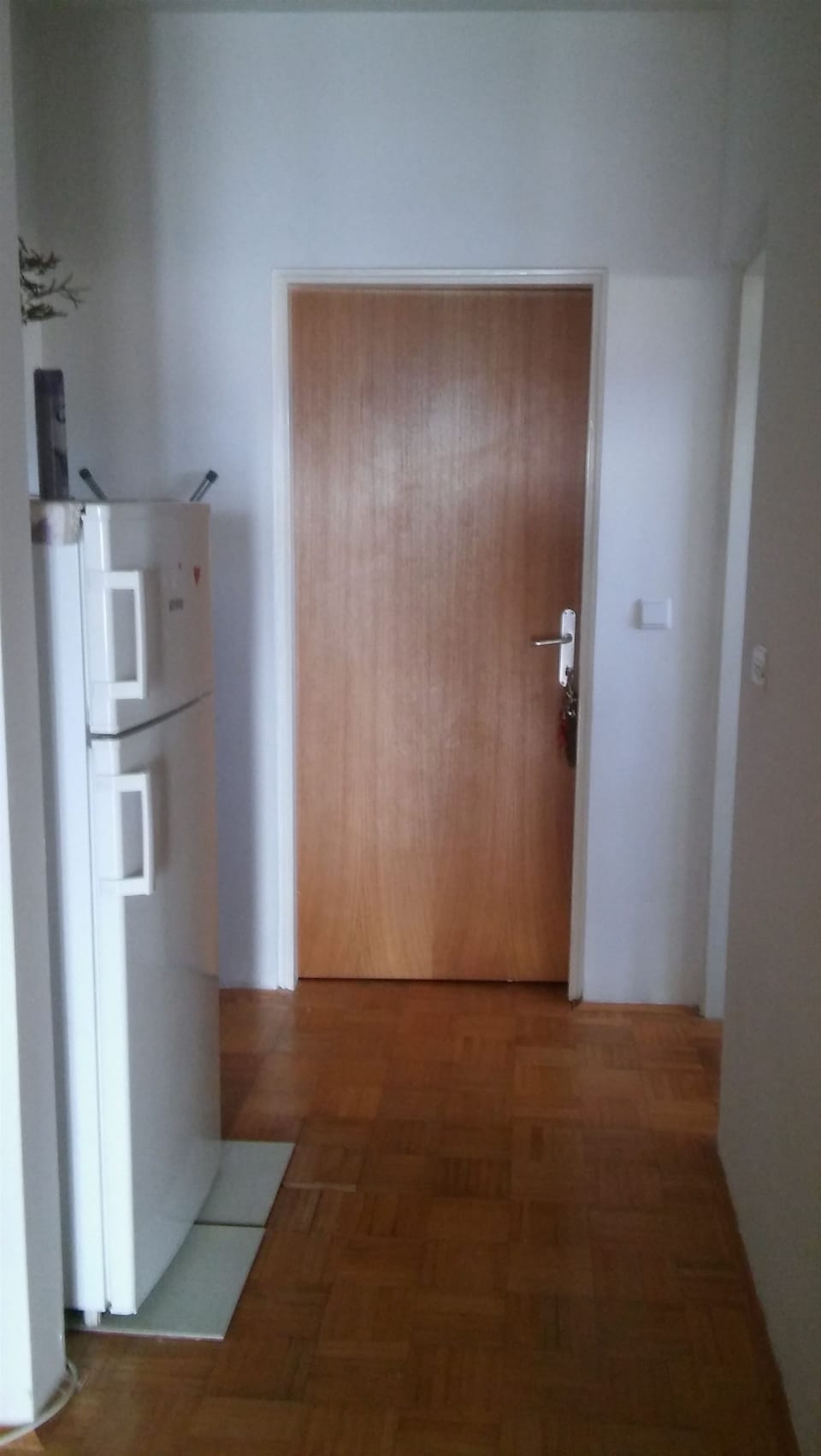 Private kitchen | Fridge, microwave, oven, dishwasher