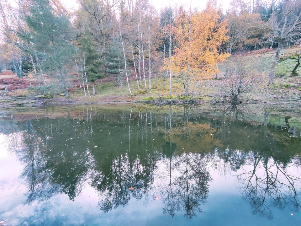 Lake