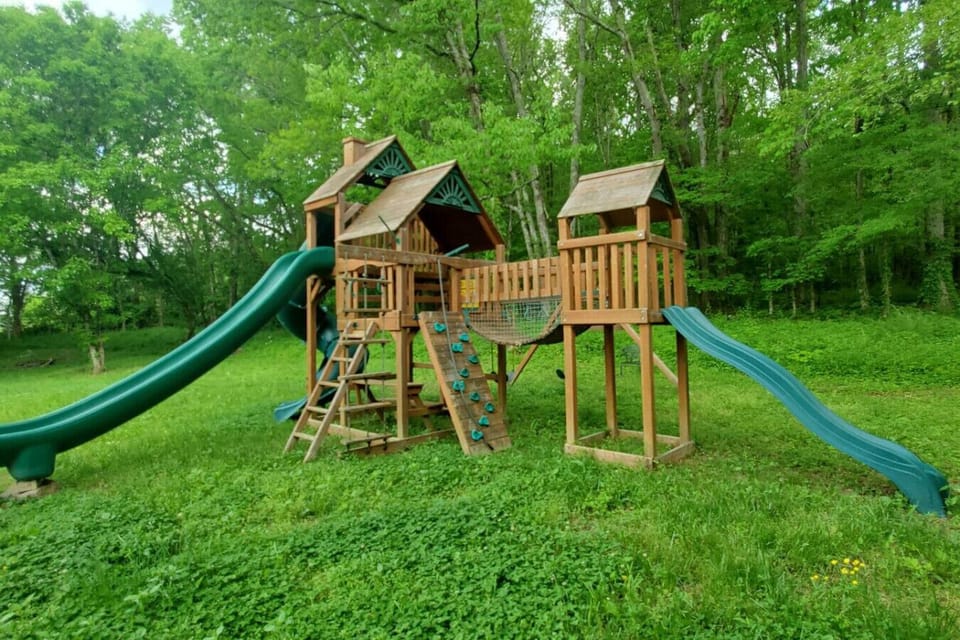 Wooden playset with slides and climbing wall for the kids