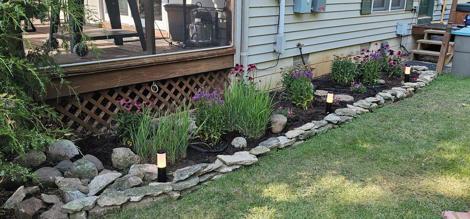Wildflower Garden in Backyard