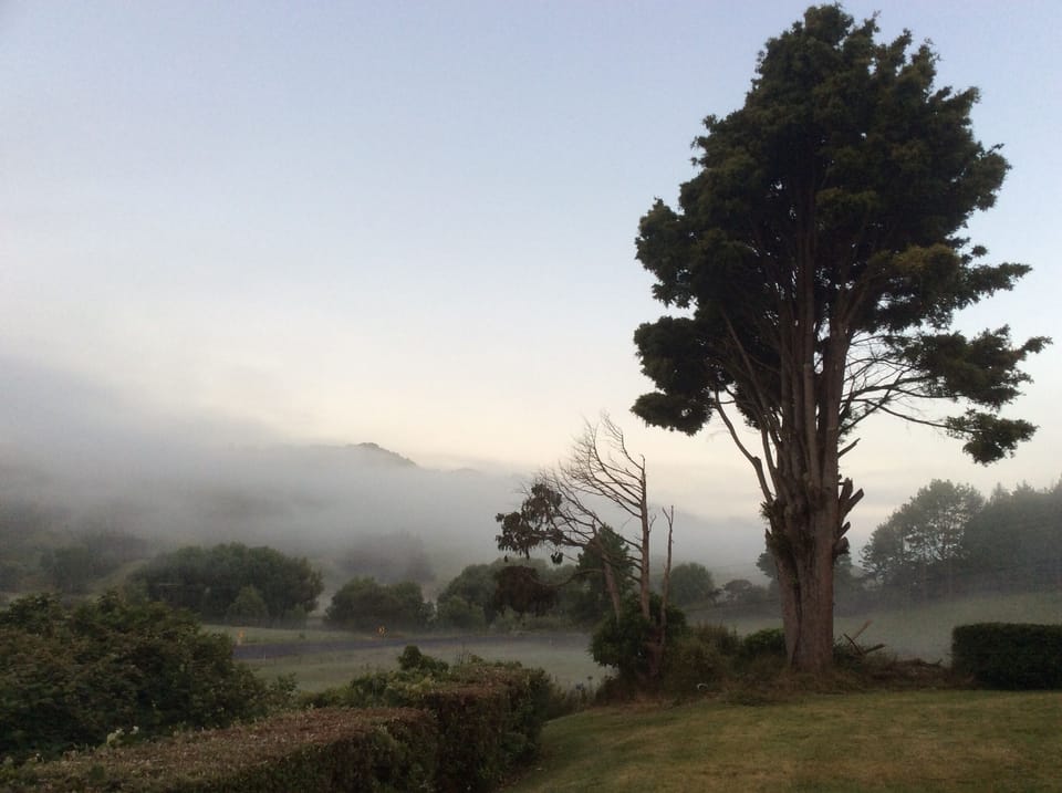 The misty mornings in the valley are spectacular 👌 