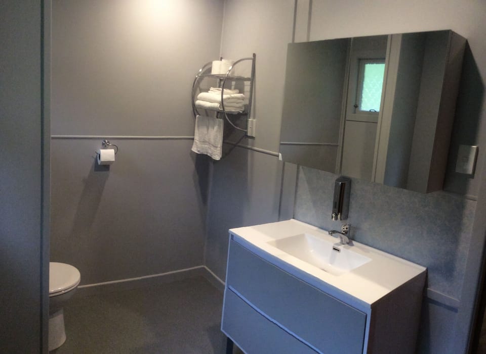 Down stairs bathroom with shower and toilet 