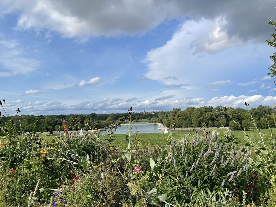 Forest Park has so many inviting spaces for a picnic & beautiful views. 