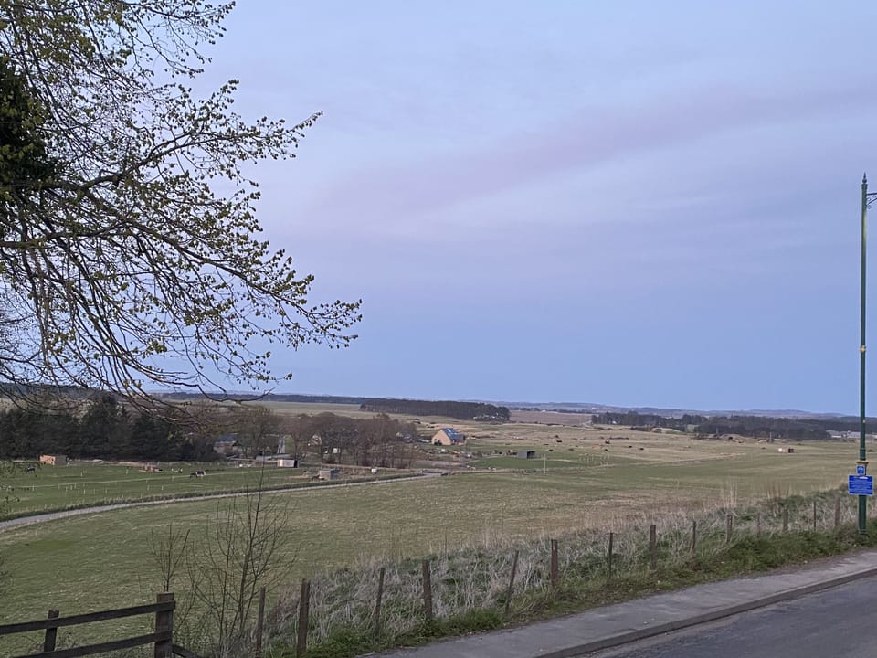 Cabin, Private Bathroom | View from property