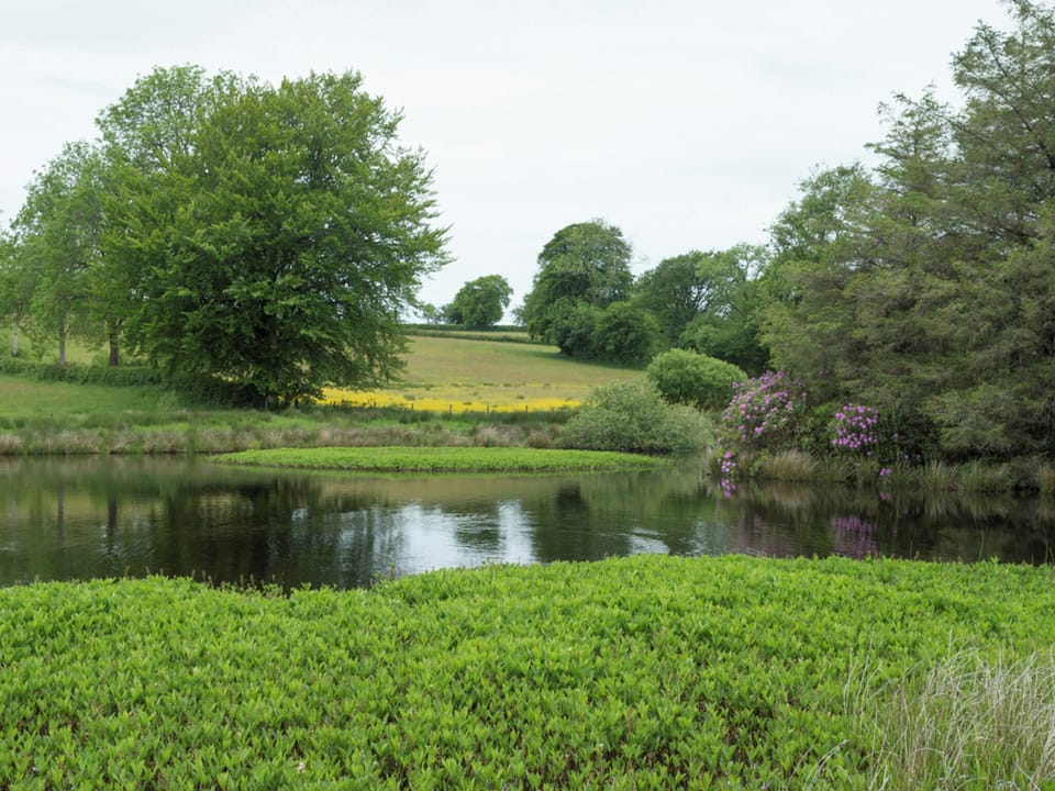 Single bedroom | Gelli-Hir, Tregaron
